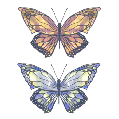 Tattooed Now! - Two Colour Butterflies