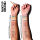 Artist Color Pencil - Matte - Swatches on Hands