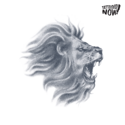 Tattooed Now! Realistic Roaring Lion Tattoo