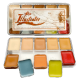 Skin Illustrator Flesh Tone Palette