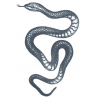 Tattooed Now! - Small Snake Tattoo
