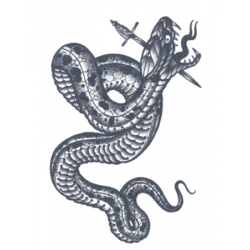 Tattooed Now! - Snake by Ramon Maiden
