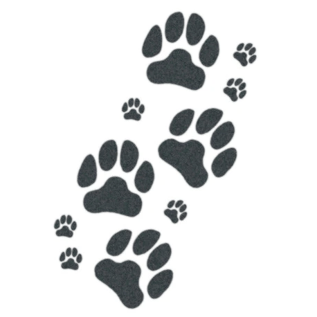 Tattooed Now! - Dog Paws