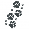 Tattooed Now! - Dog Paws