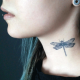 Tattooed Now! - Dragonfly Tattoo