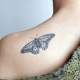 Tattooed Now! Dotwork Moth Tattoo