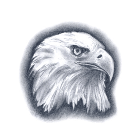 Tattooed Now! Eagle Tattoo